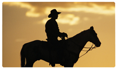 DNSEMP-C-360-BZ Cowboy Bronze